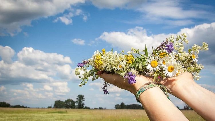 Сегодня День независимости Украины. Фото: pikist