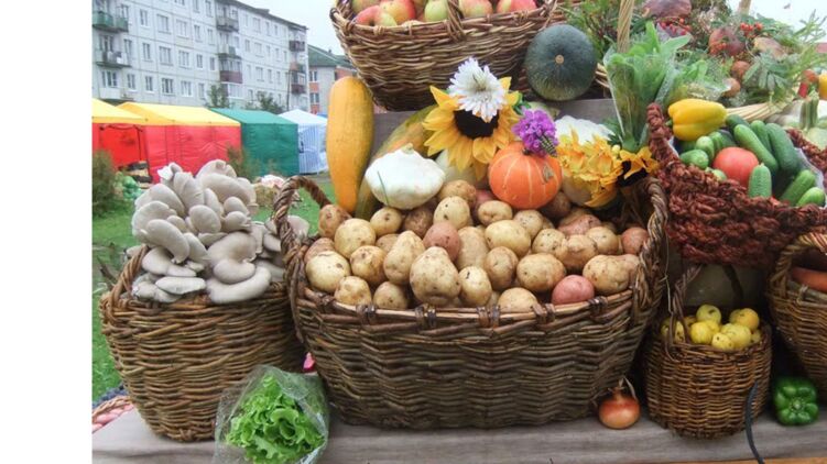 На этой неделе в Киеве пройдут сезонные сельскохозяйственные ярмарки