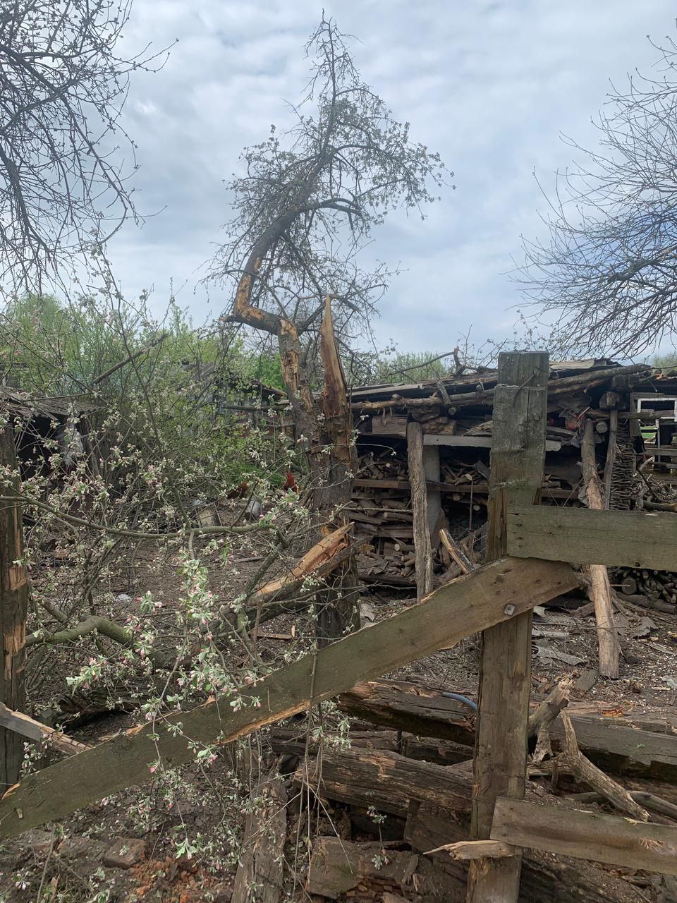 скрин с Telegram