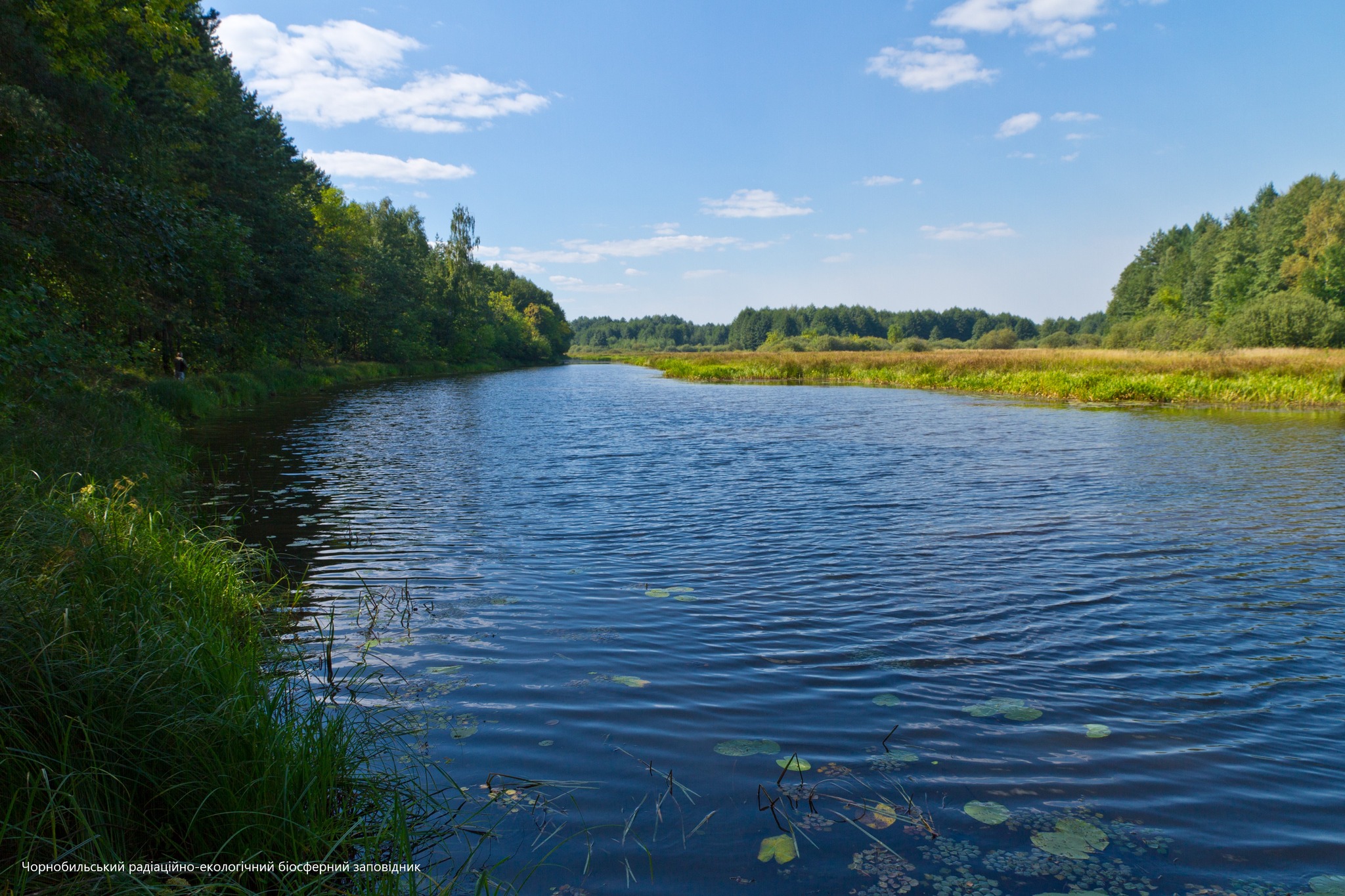 Осенний пейзаж 2