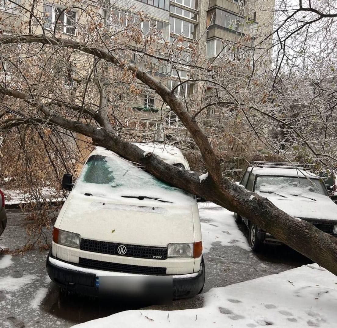 Непогода, холод и деревья падают во Львове
