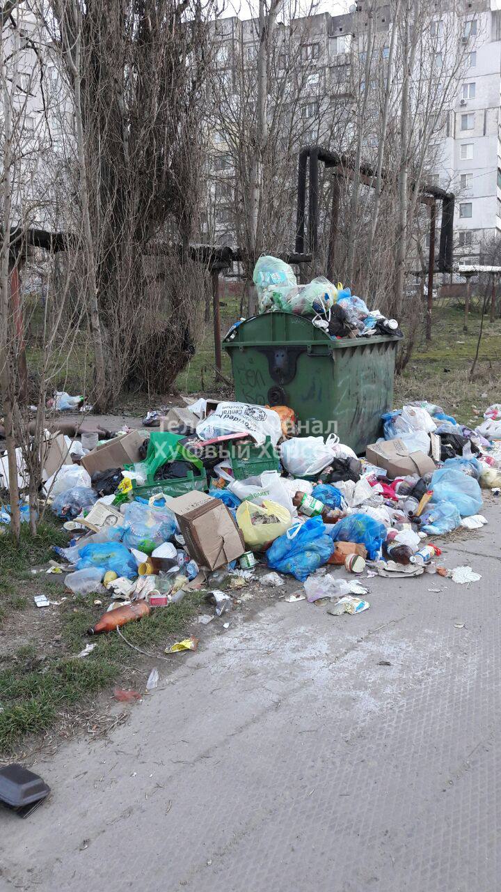 Херсон утопает в мусоре