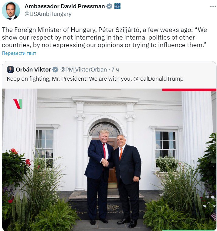 Скриншот из Твиттера