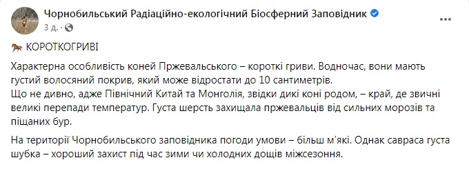 Скриншот из Фейсбука Чернобыльского заповедника
