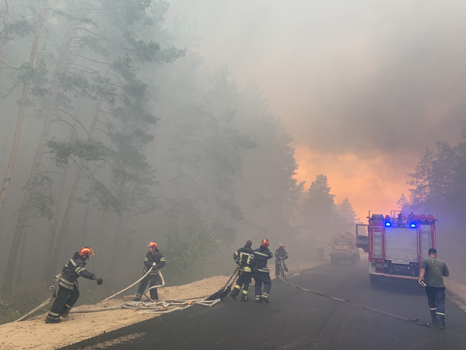 Лесной пожар в Луганской области