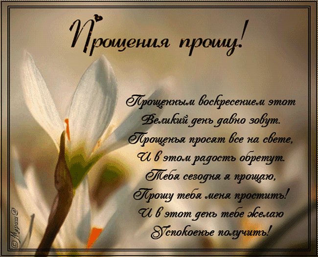 прощена неділя