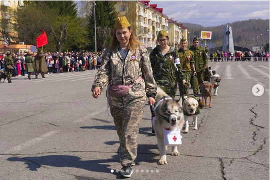 полк собак