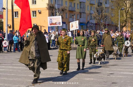 полк собак