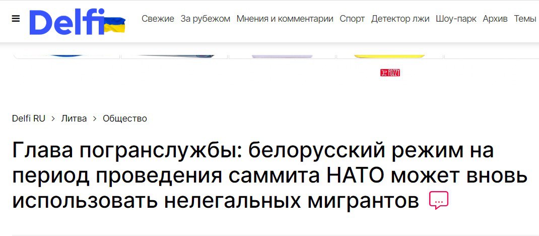 Беларусь может использовать нелегальных мигрантов против Литвы