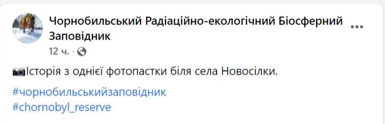 скрин с Facebook