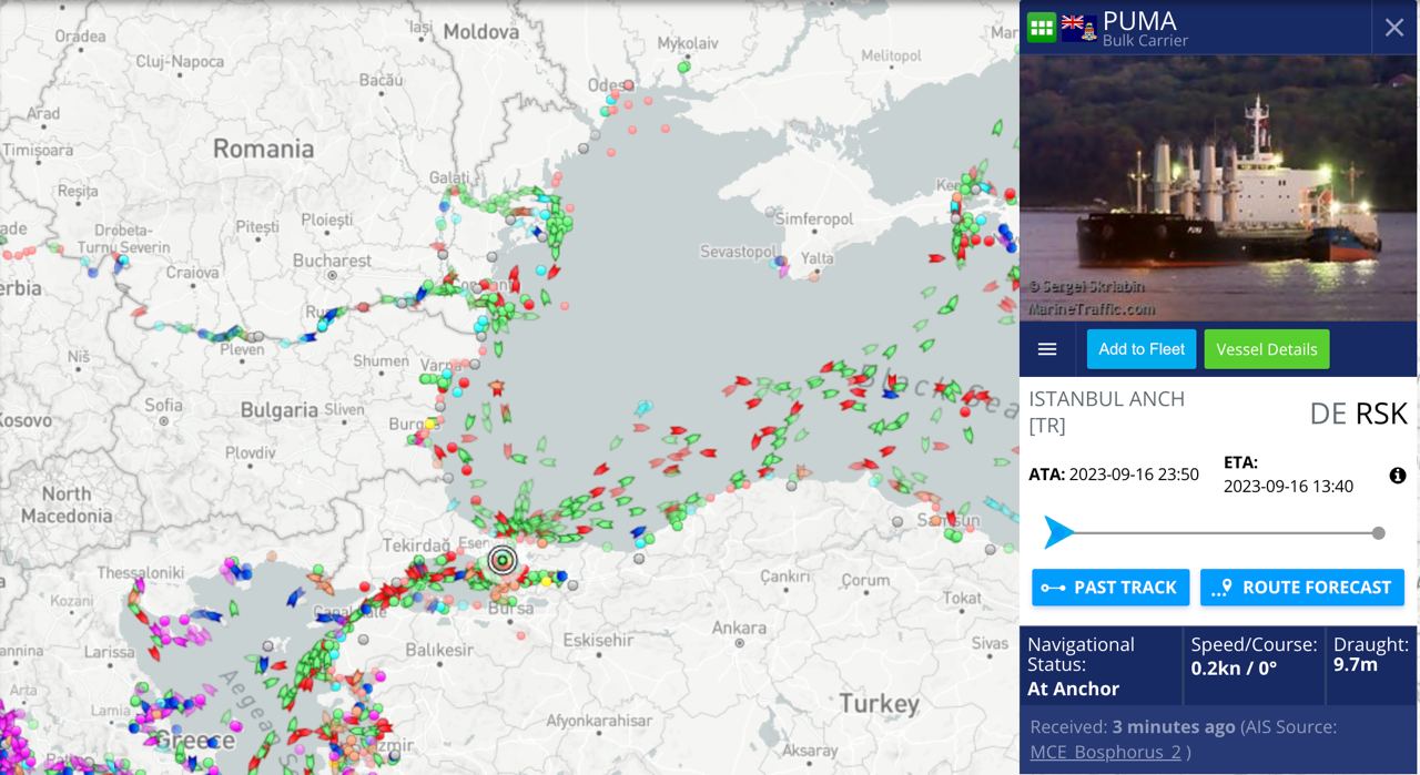 Карта перемещения судов. Источник - Marine Traffic